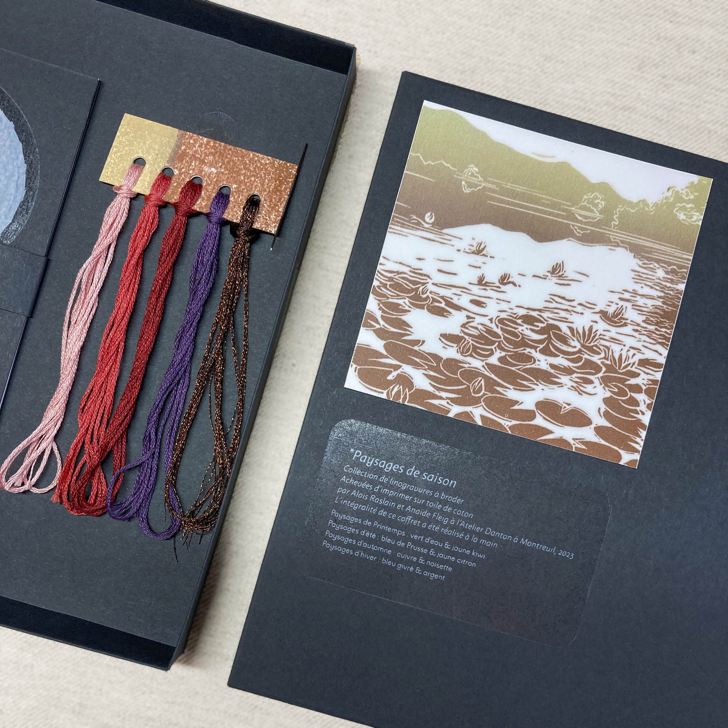 Nénuphars (automne)